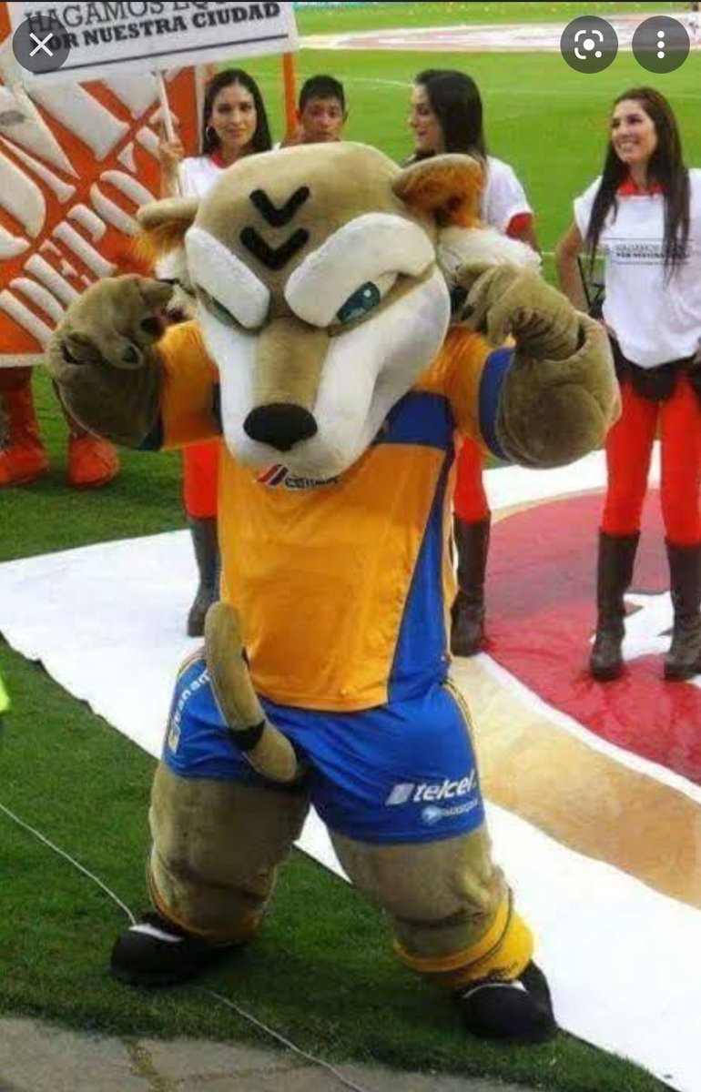 tucampeon1221's tweet photo. EL TIGRE AL #CEPYBOY
TOMA TU PREMIO https://t.co/Ur6ryMpqZm