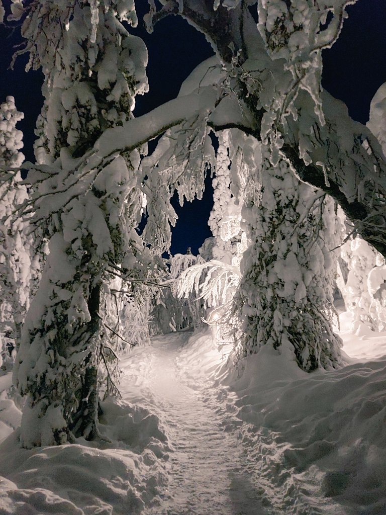 It's like being in Narnia! 😍