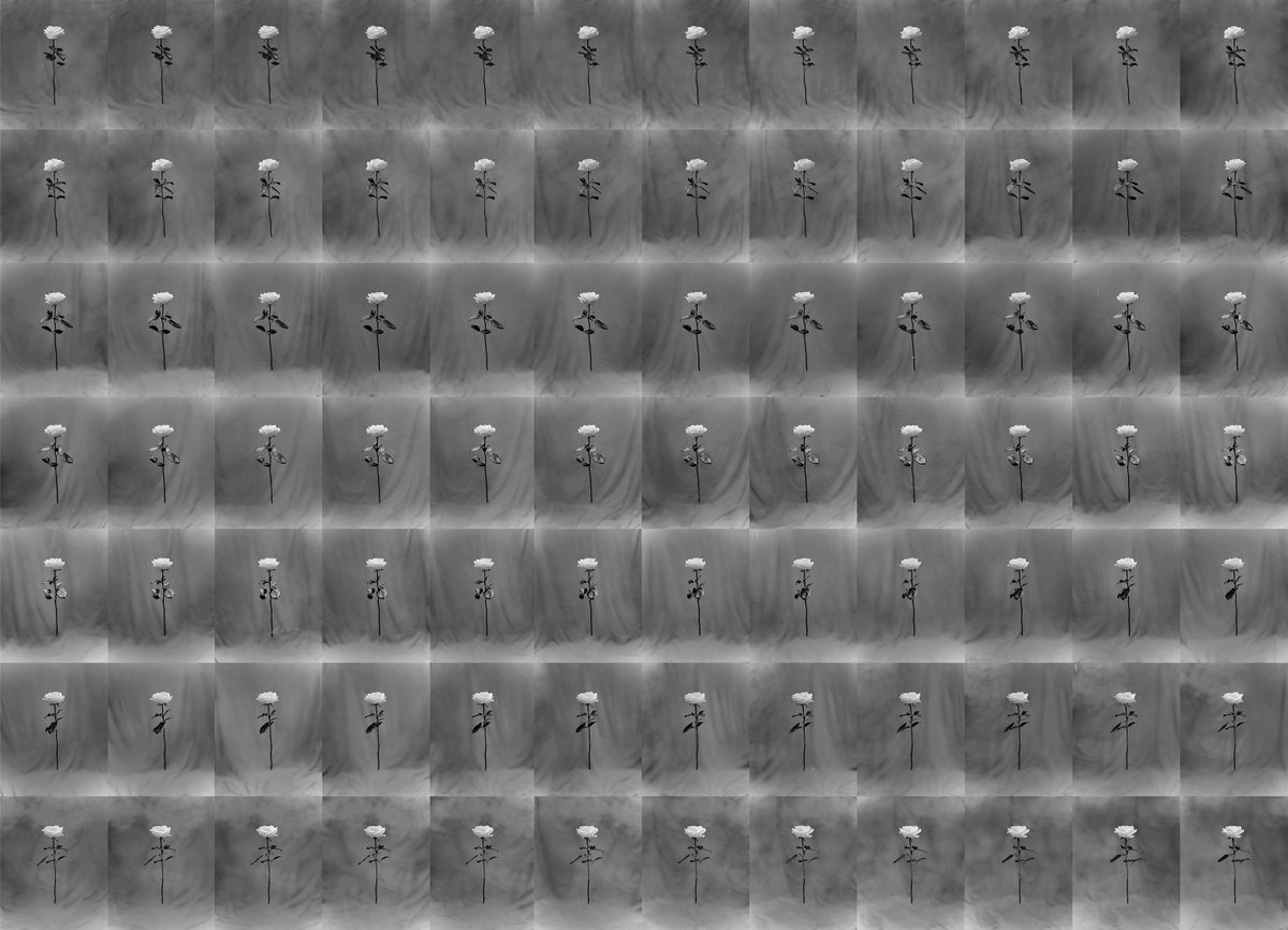 bypip's tweet photo. The film was then hand-processed, scanned and arranged. There’s absolutely no CG modelling or compositing involved in this method. It is simply a series of precise analogue photographs played out in sequence https://t.co/zqOPDA4Y9L