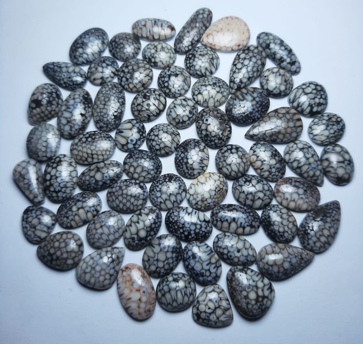 GrindaWork's tweet photo. Rare material. fossilized ancient fish pharyngeal teeth. #snakeskinagate #rarecabochon #cabochonsupply https://t.co/dX3B5pHEjA