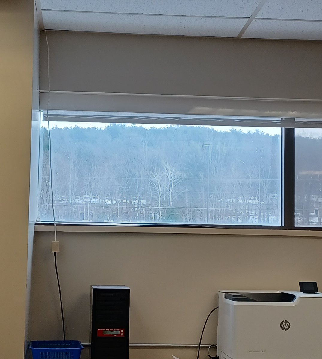 Kgarcia435's tweet image. Real feel is 14 degrees outside.  An excellent day to stay indoors and prep books for Monday/Tuesday deliveries.  #btsls