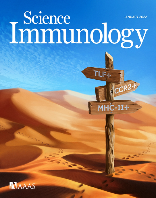 Our latest team effort <a href="/SciImmunology/">Science Immunology</a>; doi.org/10.1126/sciimm…. What is a good starting point to study tissue macrophages (MFs)? We examined 17 murine tissues (5 in detail) &amp; human correlates, fetal &amp; adult. We found 3 interstitial MF subsets in all tissues. Cover <a href="/Ella_Maru/">Ella Marushchenko</a> 1/n