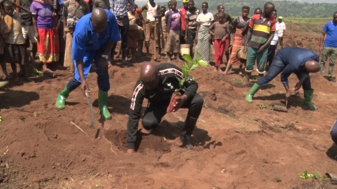 BURUNDI/MINEAGRIE tweet media