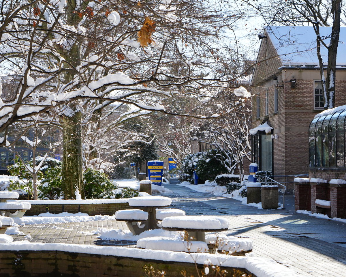 Hofstra University tweet media