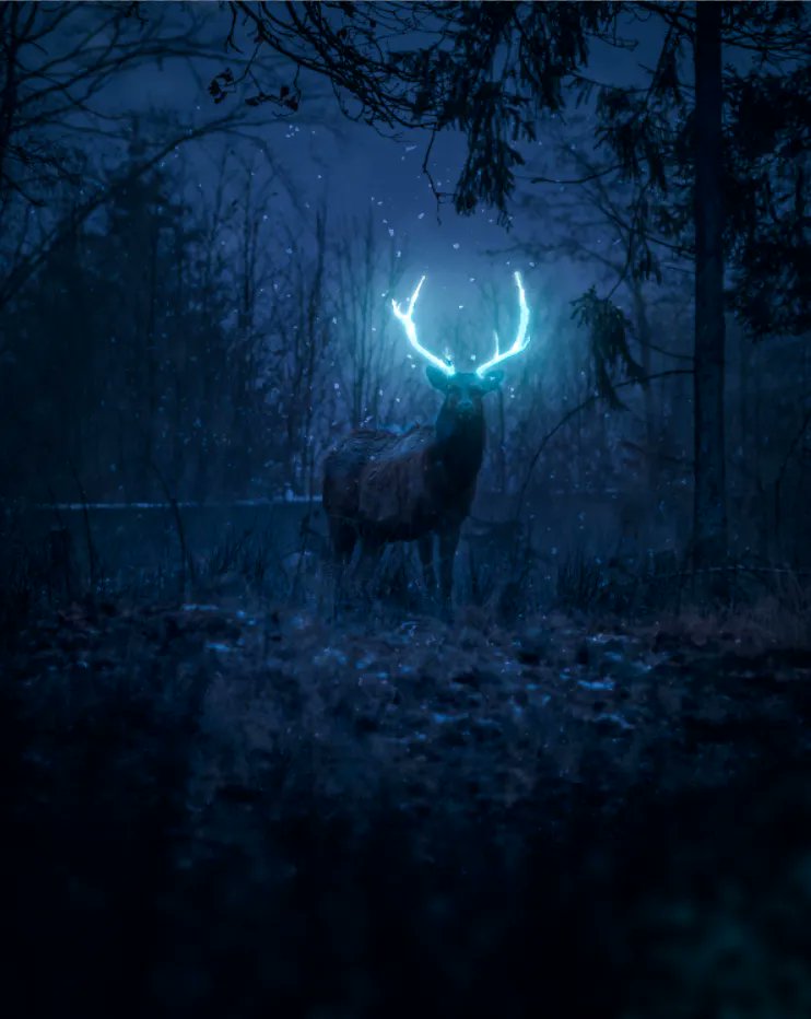 BeamDes1gn's tweet photo. Really enjoyed the way this one looks! #graphicdesign #graphicdesigner #deer #deerlight #light #bright #antlers #lovedoingthis https://t.co/xL8q0JRtQu