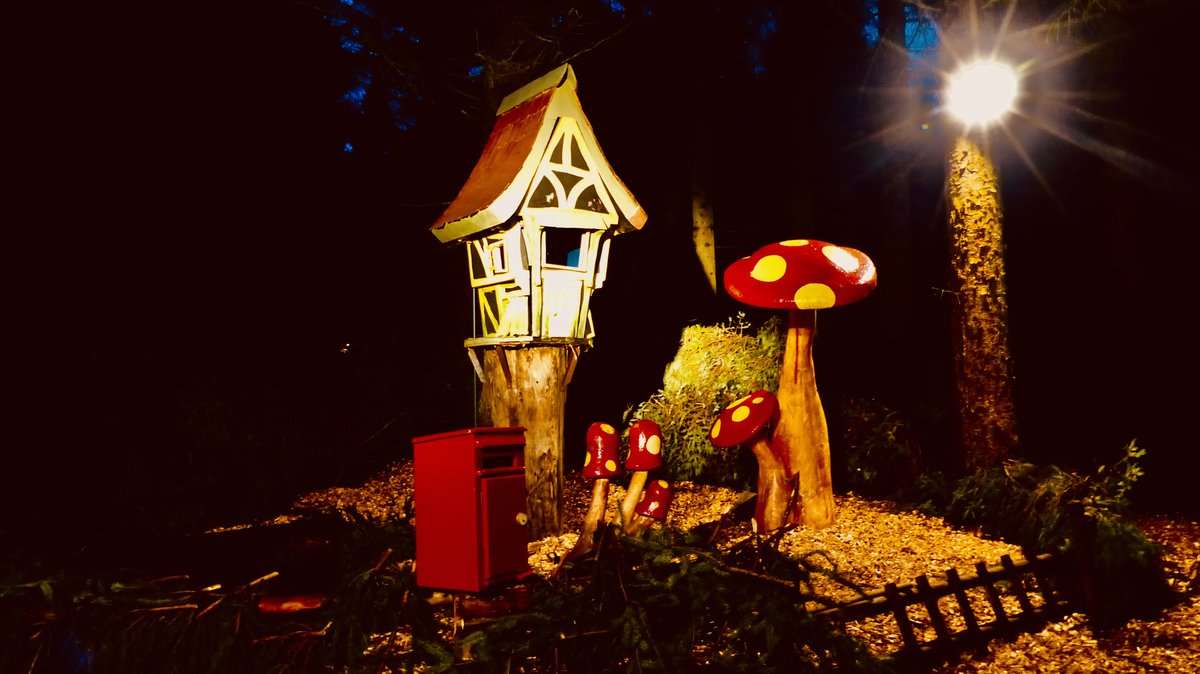 Pady O'Connor tweet media