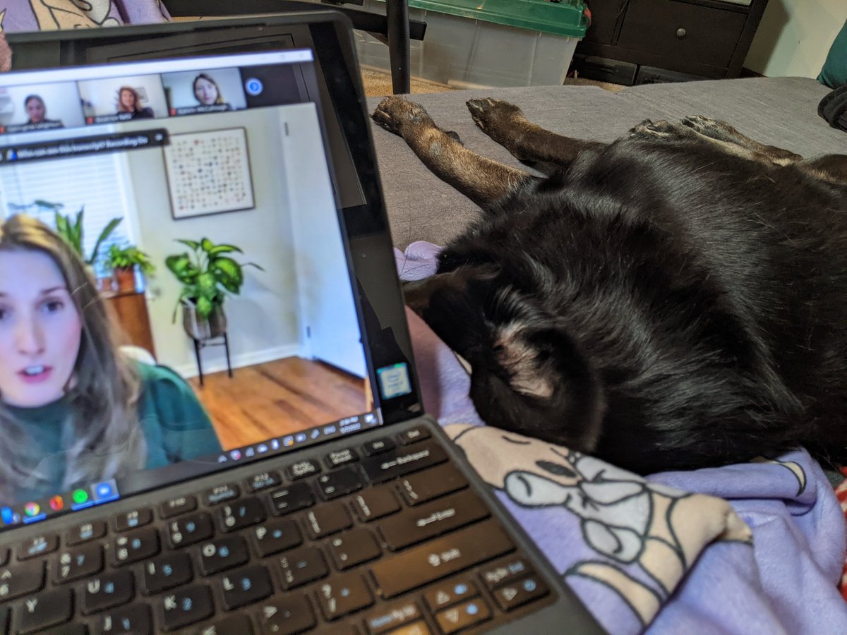 MagistraNeely's tweet photo. #AIASCSpets
Schatzi helps me learn about publishing https://t.co/UxI5bjFT6L