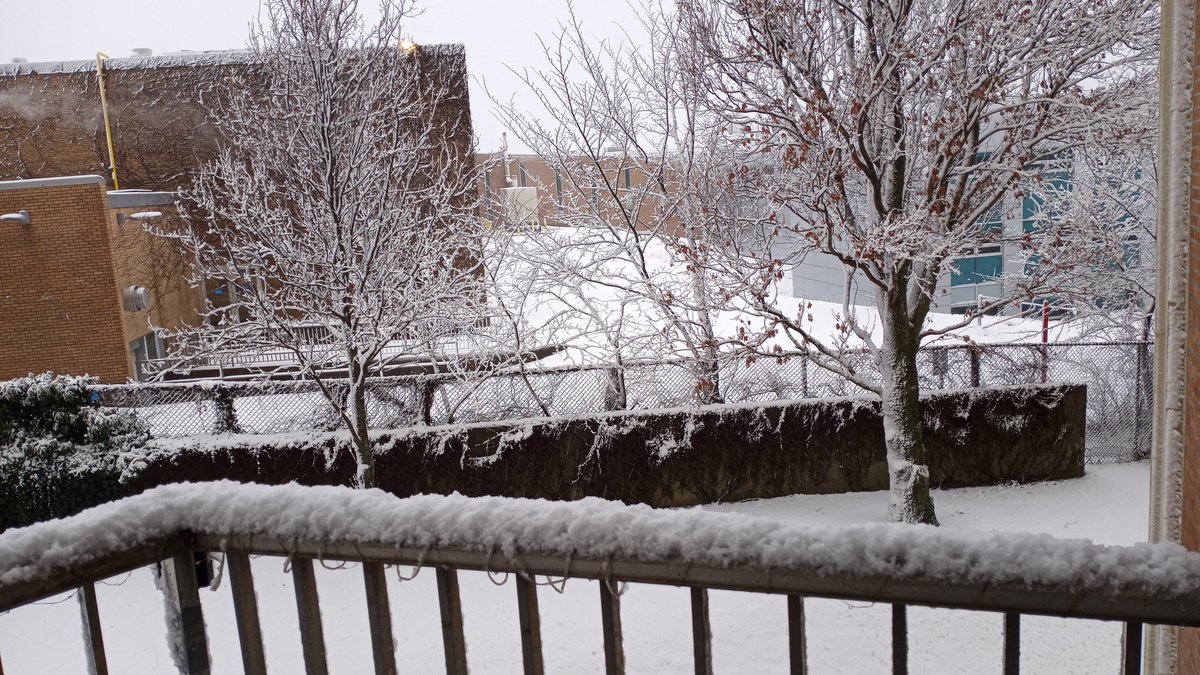 🇨🇦 Jam & Whiskey 🇨🇦 🐶 🐶 🐾 tweet media