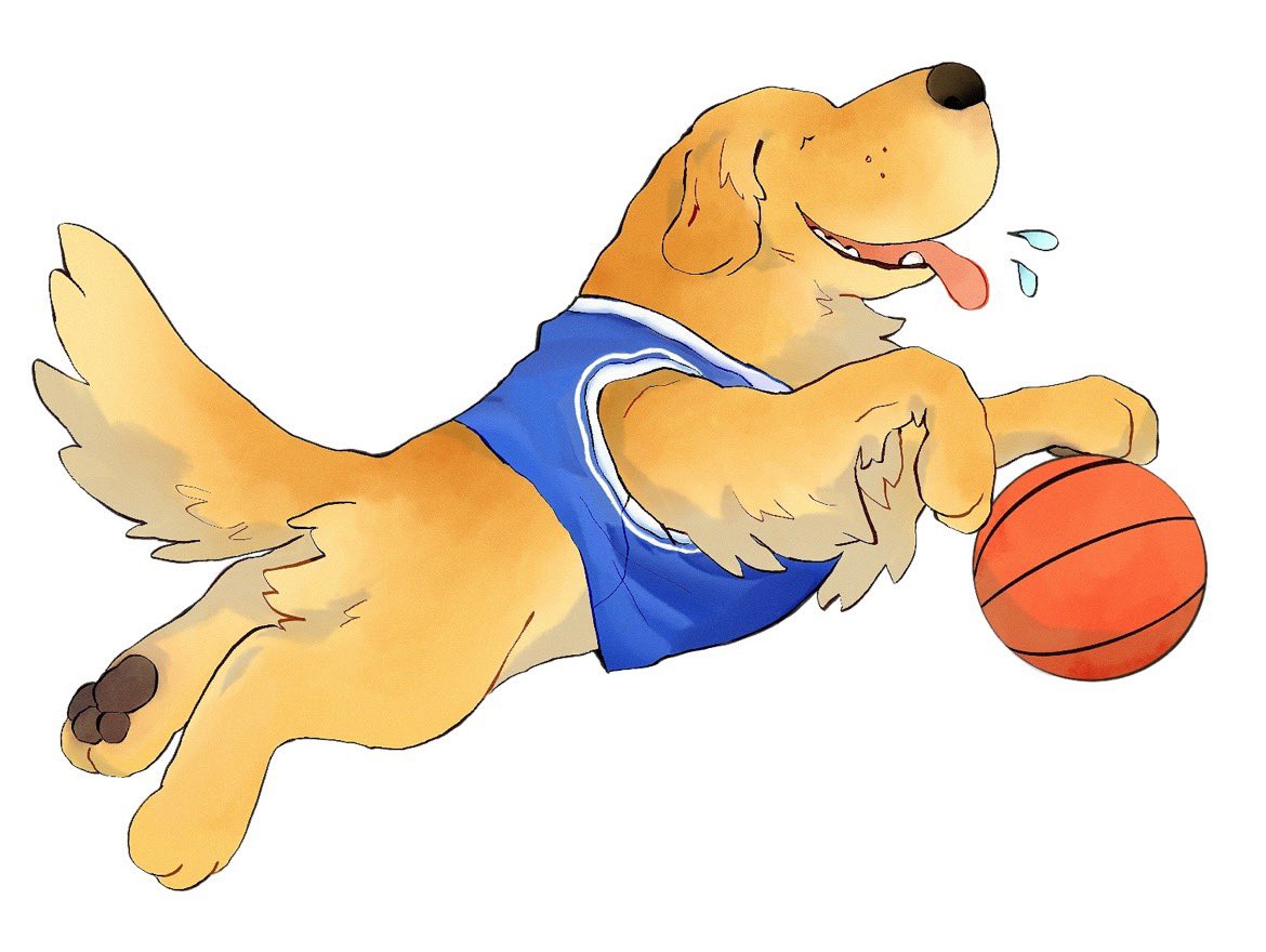 timesnewnorman's tweet image. AIRBUD 🏀 🐾
