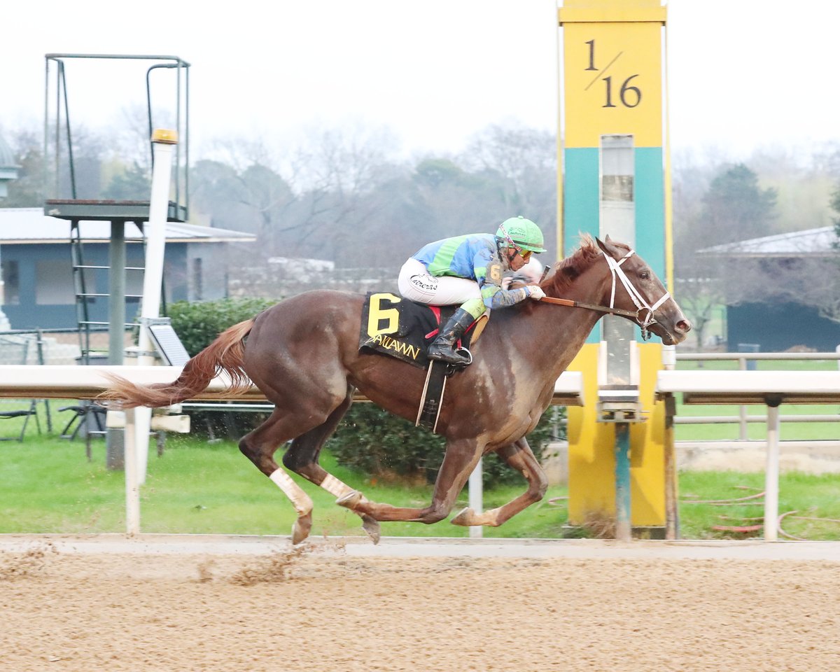 Impressive Winner Secret Oath Following A Family Tradition. What began as a $1 investment continues to pay big dividends, particularly at Oaklawn, for hands-on Kentucky breeders Robert and Stacy Mitchell. #RoomForMore #StayPlayAndGetAway #OaklawnRacing ow.ly/UFFR50HpThl