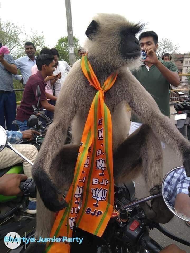 Branded Kisaan😎💪Pinda aale🌾🚜 tweet media