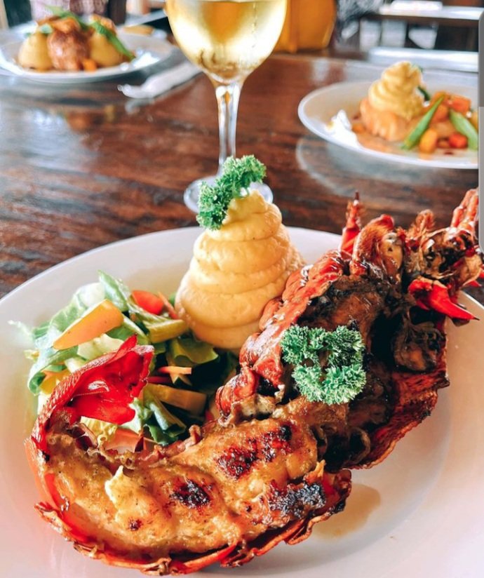 molinicolo2's tweet photo. #GrilledLobster with #SeasonalSalad &
#MashedPotatoe ๐งก https://t.co/56JnZz3Mqw