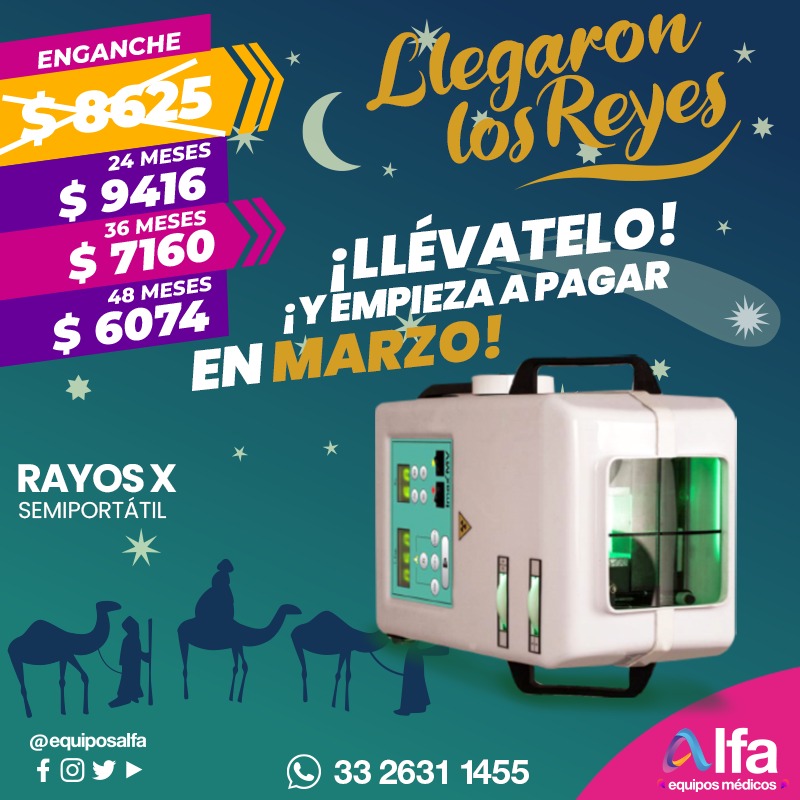 LATINZOO tweet media