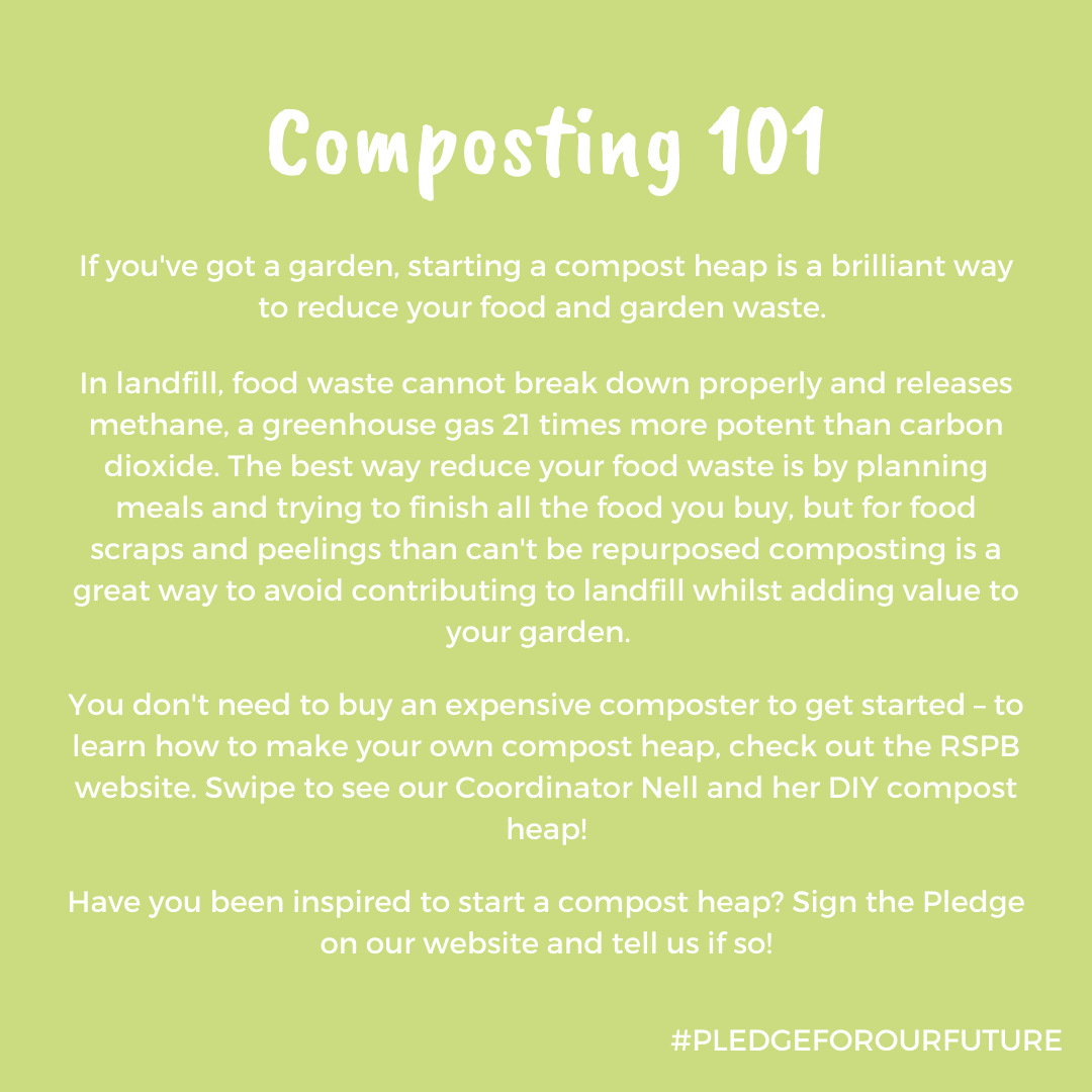 Naturepledge's tweet photo. Create a compost heap in your garden or use @ShareWaste to find a drop-off point near you!🌿🌎

#GreenHacks #GreenHack #environment #nature #sustainability #foodwaste #sustainable #gardening #garden #plasticfree #composting #climatechange #carbonfootprint #biodiversity https://t.co/F0DToCsQiz