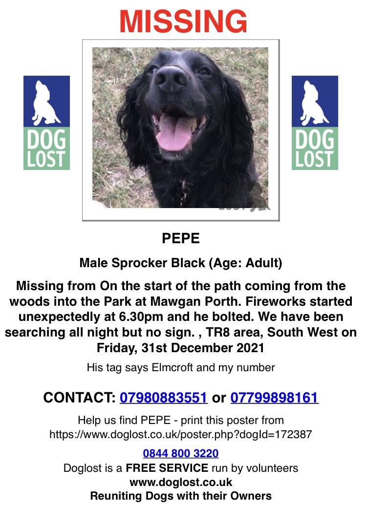 rosieDoc2's tweet photo. No words 🌈😓💔
How scared he must of been
How far did he run

Found on Watergate beach 😔

Heartbroken 💔 
So sorry PEPE gorgeous boy
Your mum hasn’t slept for nights 
R I P 💔💔💔💔💔

https://t.co/vlVPmNmubr

#Banfireworks #banfireworks https://t.co/slO94u38qC