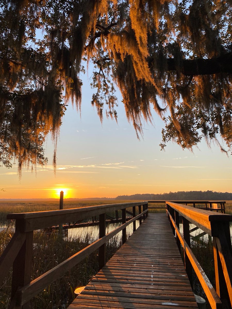 Callawassie Island tweet media