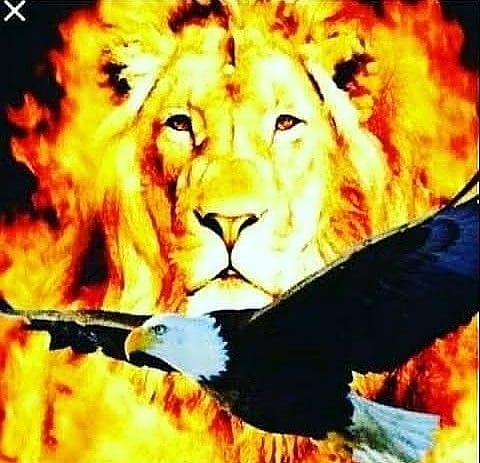 RaizesQue's tweet image. ❤️🙏🏽😎🔥