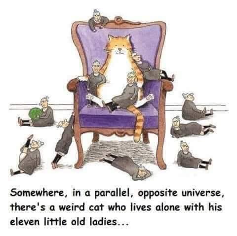 Well this is not a little spooky…..🤔😬?
#ParallelScharamel