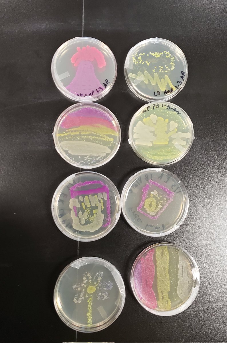 Our art is growing up real nice