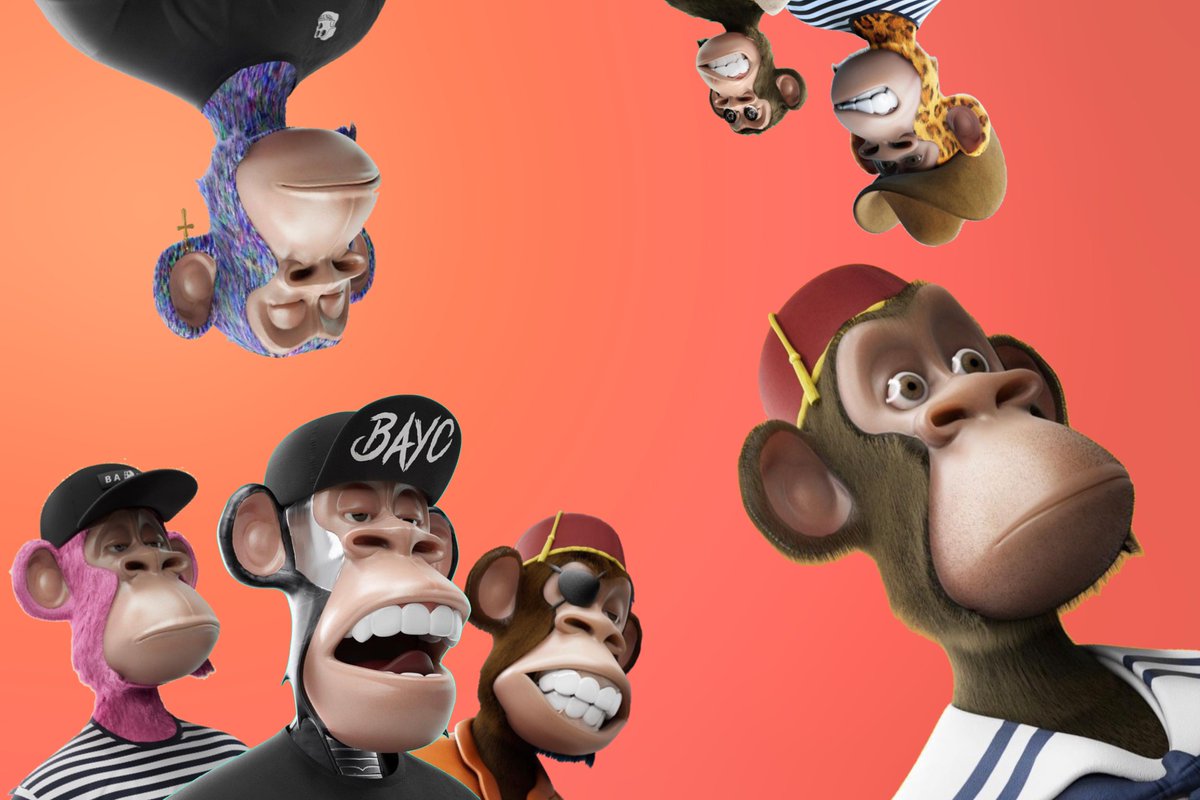 fanpagehape's tweet photo. We are a Family!
Credit: Wholding I HAPED I#3352
Join the #HAPEVOLUTION
#HAPEFANPAGE #HAPEBEAST #HAPEBEASTGANG #HAPE #NFT #NFTs #NFTCommunity https://t.co/QbRcG1zsIo