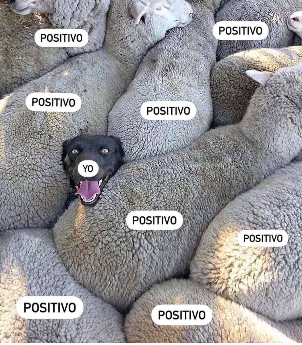 BrendaCrabtreeR's tweet photo. Ayer me hisopé por ene vez (ya perdí la cuenta de cuántas llevo en 22 meses de pandemia)... 
Salí negativa. 
No he tenido nunca COVID, afortunadamente, pero sí esto de la situación actual del #omicron es muy abrumadora la verdad... 

Tal cual así yo👇🏾 https://t.co/djyDD2jvLw