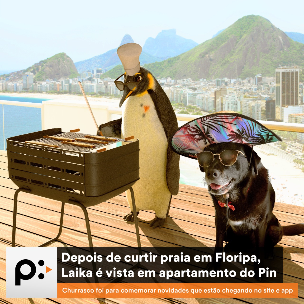 Pin em Novidades do site