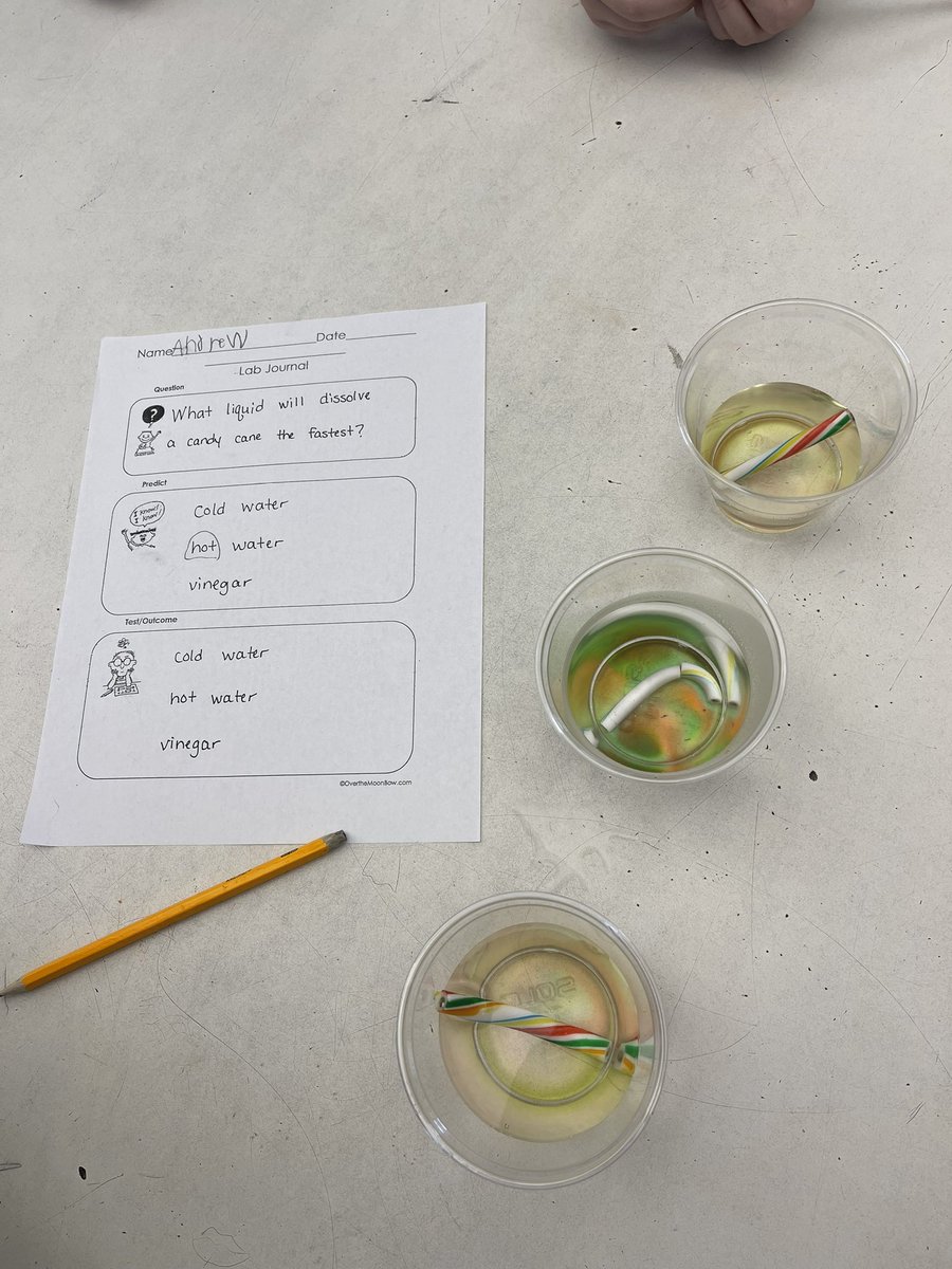 agehoffman's tweet photo. What do we do with extra Christmas candy canes?  Why experiment of course!  Kinders found that hot water dissolved a candy cane faster than cold water or vinegar! #Science #STEM #curiosity #WeAreCC @CambriaElem @JacksonEl_CCSD https://t.co/EItqwCceWk