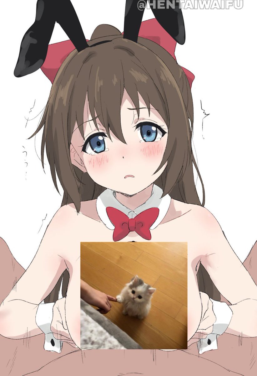 NSFWWAIFUS's tweet photo. catinho:3 https://t.co/A1HGzabW8o