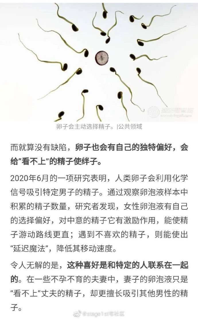下次男友问我为什么脚踩两条船我就发这个给他 https://t.co/BkAEyBlCee