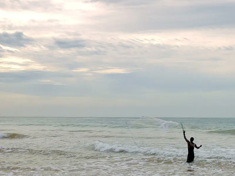 🎣 What are the benefits of increasing the social and ecological resilience of coastal fisheries? Find out in this publication by @FISH_CGIAR and partners 👉 bit.ly/3GRb2QS #smallscalefisheries #aquaticfoods