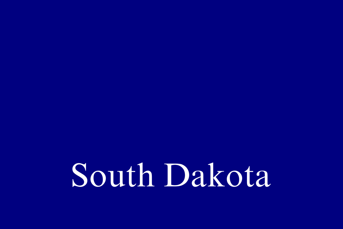 notkavi's tweet image. Day 46 of my Terrible Flag Redesign Series!

For South Dakota's flag design, we went with a simple strategy: put down every fun and exciting thing about the state on a single flag and leave it at that!