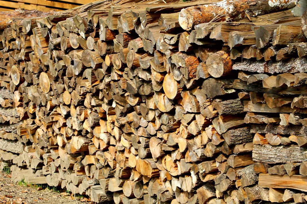 quadrans's tweet photo. Blockchain tech applied to forestry and #forest sector may allow transparent and complete supervision of wood and timber products #traceability. Learn more about @FoodChainIT project #Woodchain! @replant_it @PEFC @pefcitalia #energy https://t.co/6CasFtBJ1q https://t.co/KPxbKvGgEp