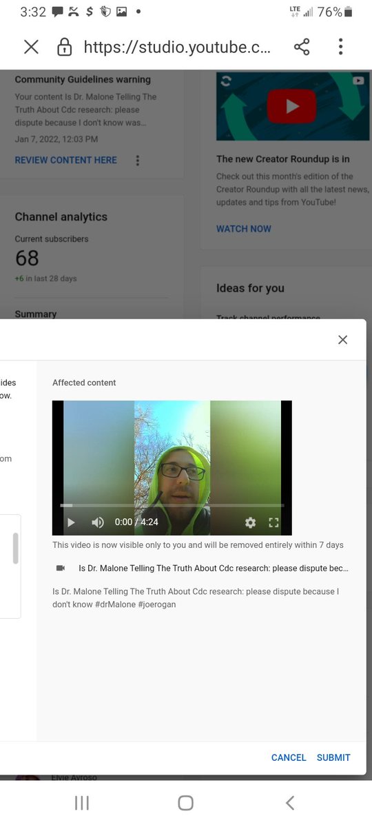 Rough Journalism on youtube #LetsGoBrandon tweet media