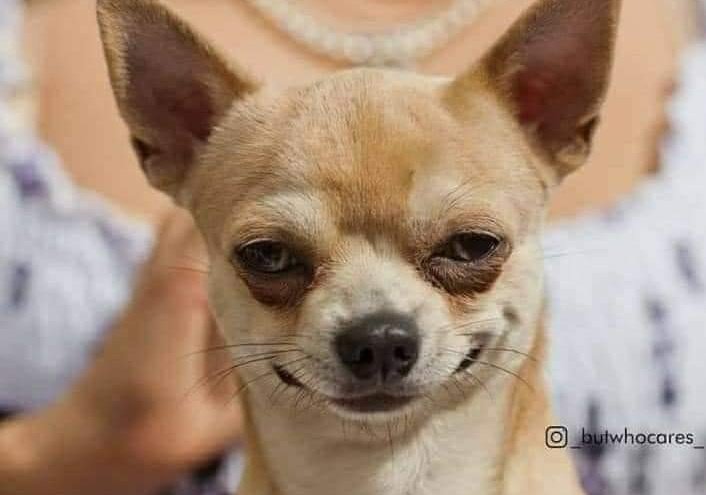 FeliciaLepota04's tweet photo. Hey there.. Do you need a loan?

Don't worry I'm here for you 😎check out real quick what I have in store for you 😊 https://t.co/OOFMYFULNp