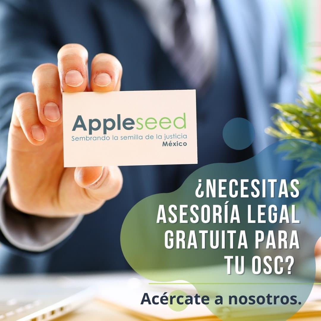 AppleseedMexico's tweet photo. Gracias a nuestra #RedProBono México, brindamos asesoría legal gratuita para las #OSC que lo requieran.
Para solicitarla, debes seguir los pasos que se encuentran en este enlace 👉🏻 https://t.co/3KrHY7kgVG https://t.co/0qtgdH6Cli