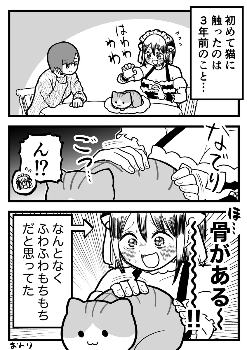 ちょっと安心した？初めて猫を触った時の感想www