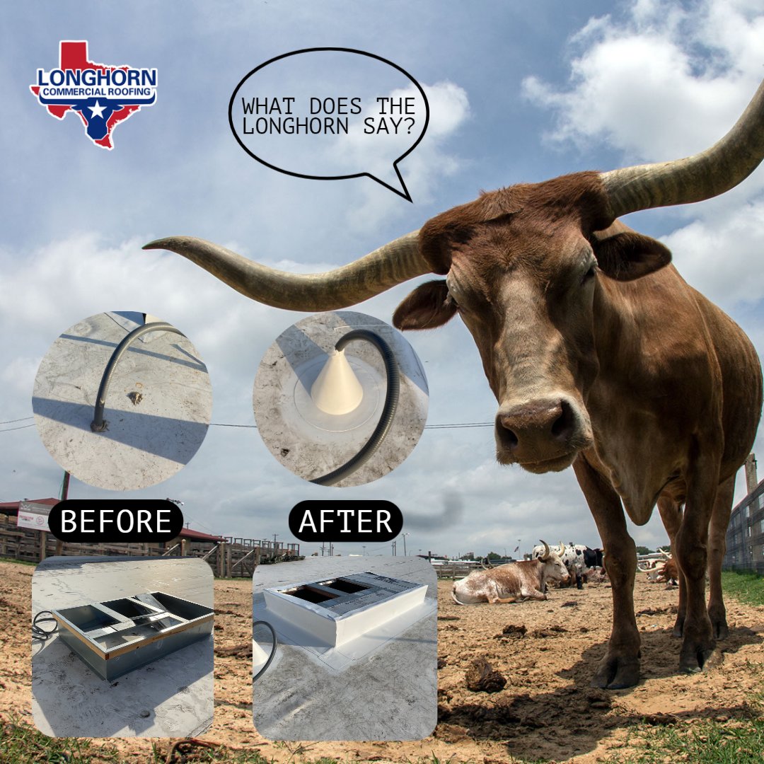 LonghornCommer1's tweet photo. Needing urgent repairs made on the roof of your commercial property? Give us a call at 888-210-0510 to have an LCR service technician solve the problem, and while you're at it, check out our website at https://t.co/wFIrl7Acdj to find out more!

#roofing #roof #construction #tx https://t.co/6E74j37Eib