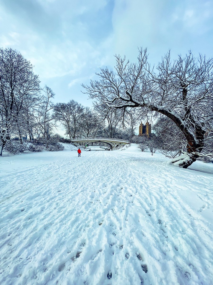 First snow @CentralParkNYC #mycentralpark