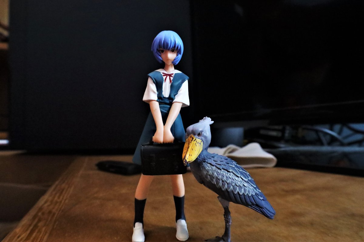 RyanStormah's tweet photo. Rei and her stupid bird friend. https://t.co/Bday0GepuM