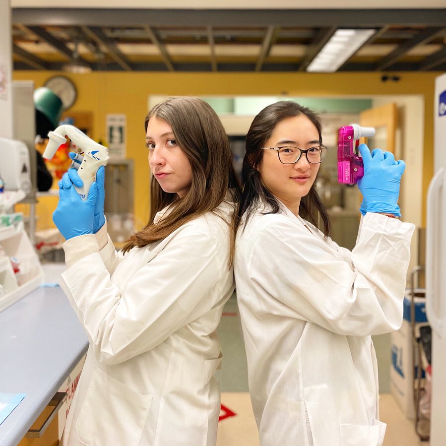 EyeDaisyShu's tweet photo. Game faces on! 😁 So excited to welcome our new research assistant, Tessa to our lab who will be working with me on investigating the role of metabolism in macular degeneration funded by my @_BrightFocus Postdoctoral Fellowship 🥳❤️ @StGeniezLab #scicomm https://t.co/2PCYyXRuml