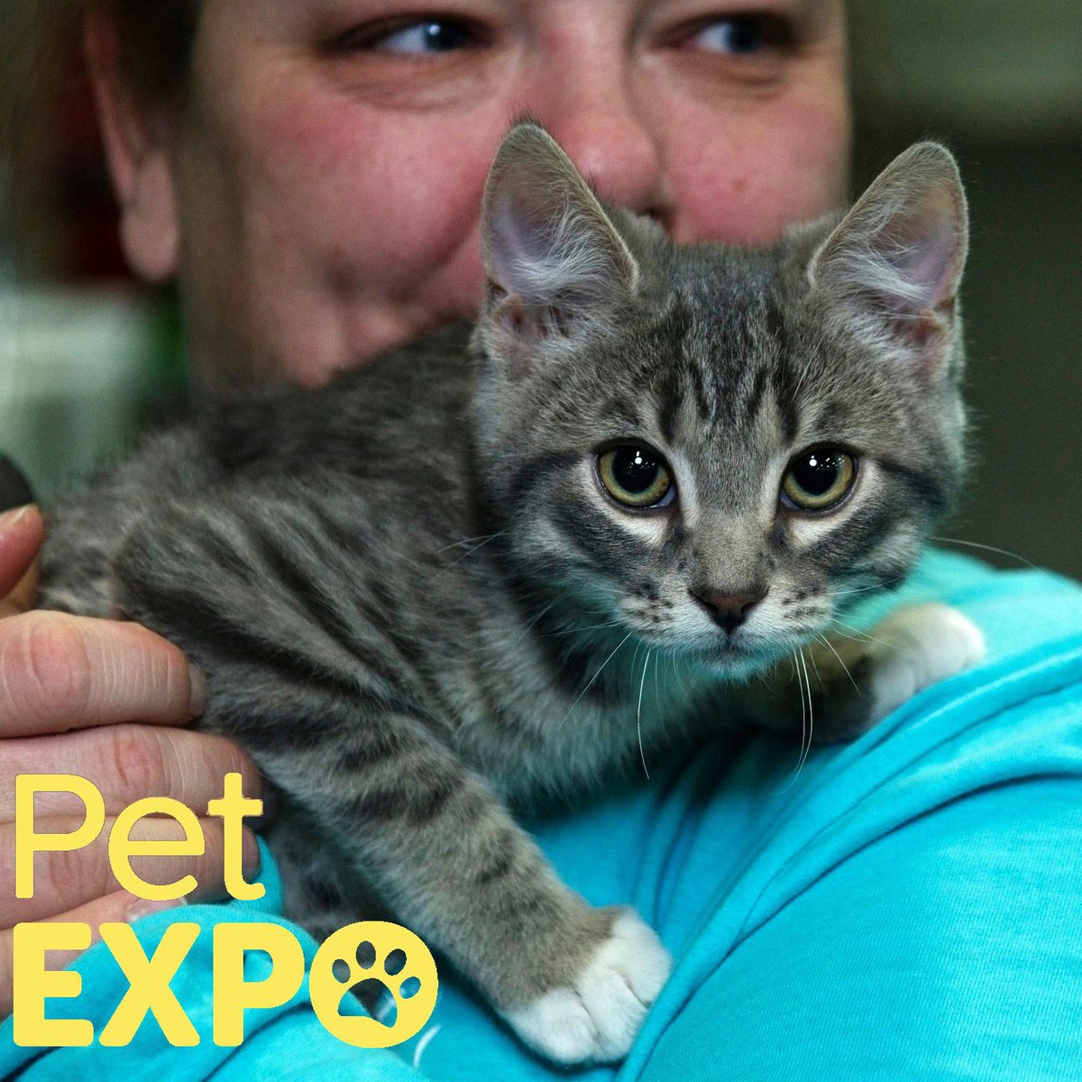 Pssst! Did you hear that ticket sales for the Edmonton Pet Expo are now LIVE! Head to petexpo.ca/tickets to get yours now! The #EdmPetExpo is happening Jan 22 &amp; 23 at the <a href="/yegexpocentre/">Edmonton EXPO Centre</a> 
See you there!