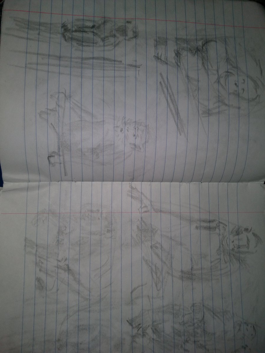 TNobody396's tweet photo. Sketching animals with bobby chiu https://t.co/fFeFisvklY
