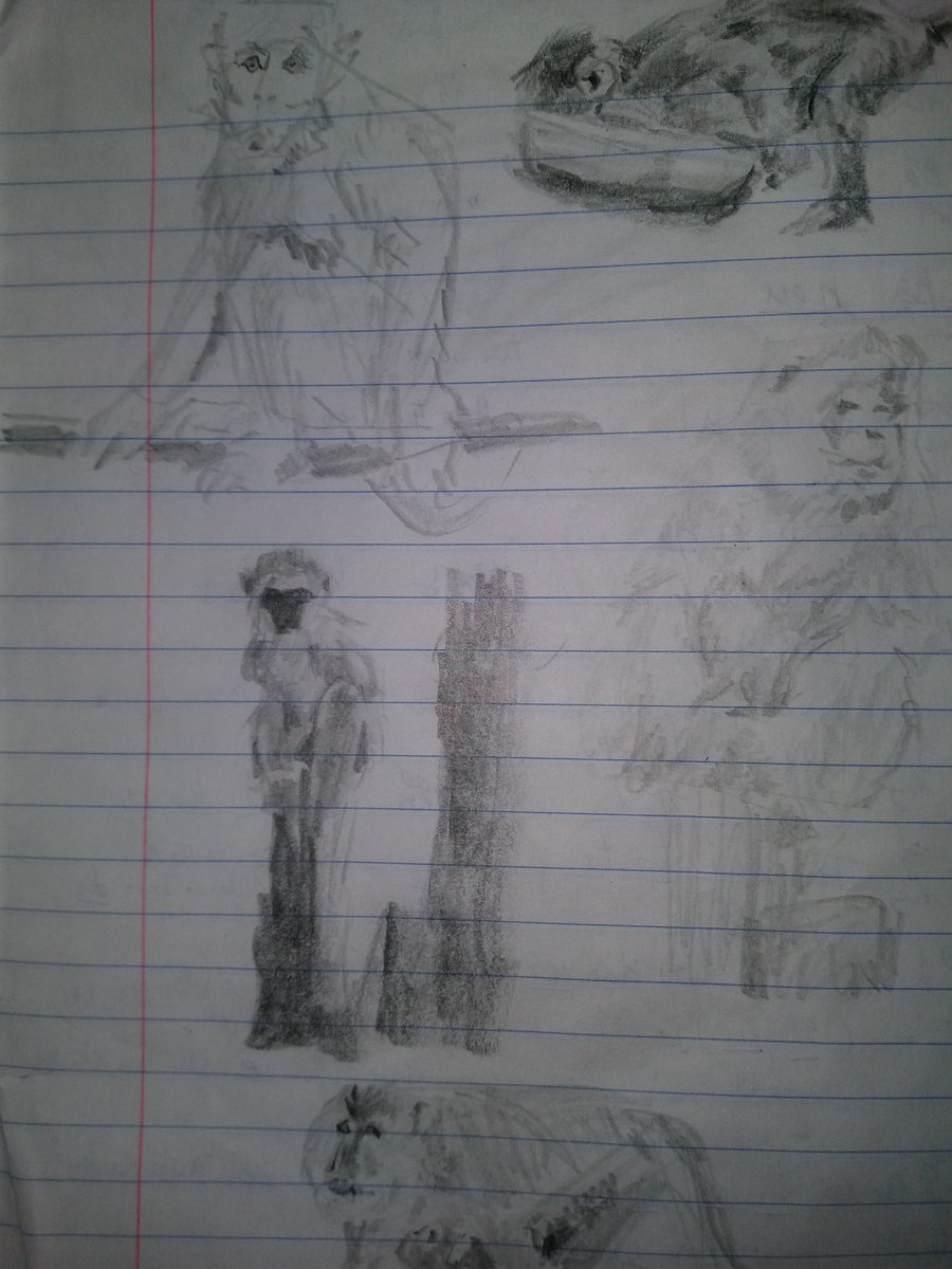 TNobody396's tweet photo. Sketching animals with bobby chiu https://t.co/fFeFisvklY
