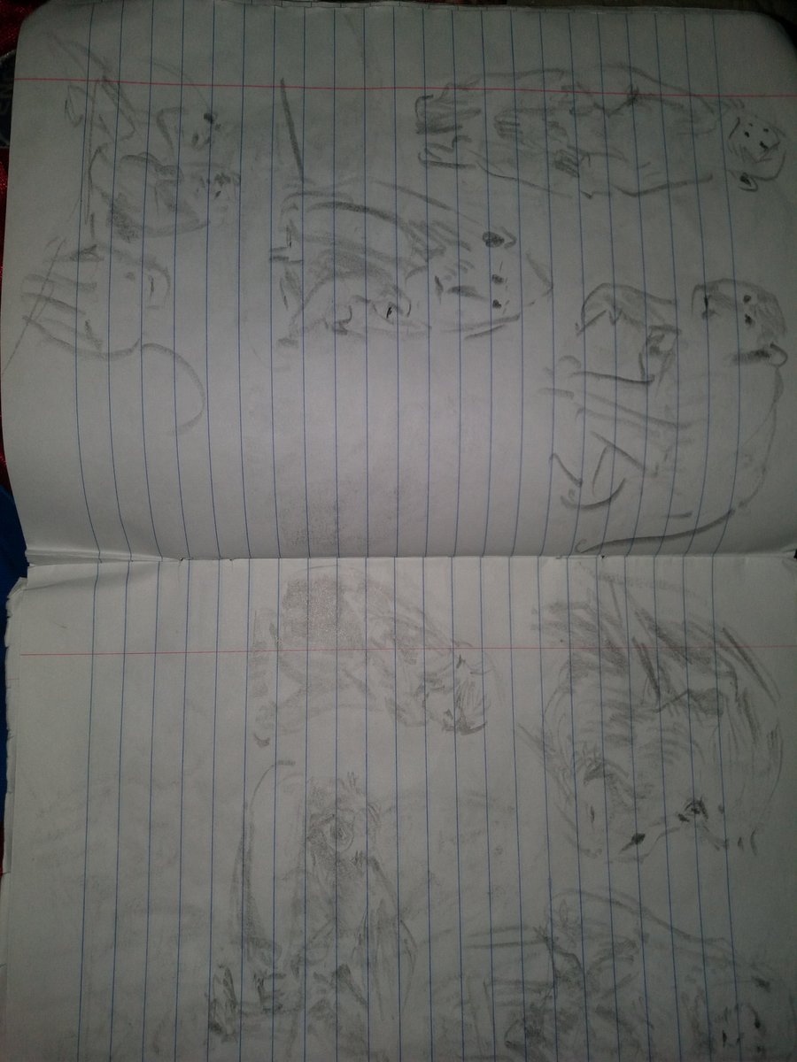 TNobody396's tweet photo. Sketching animals with bobby chiu https://t.co/fFeFisvklY