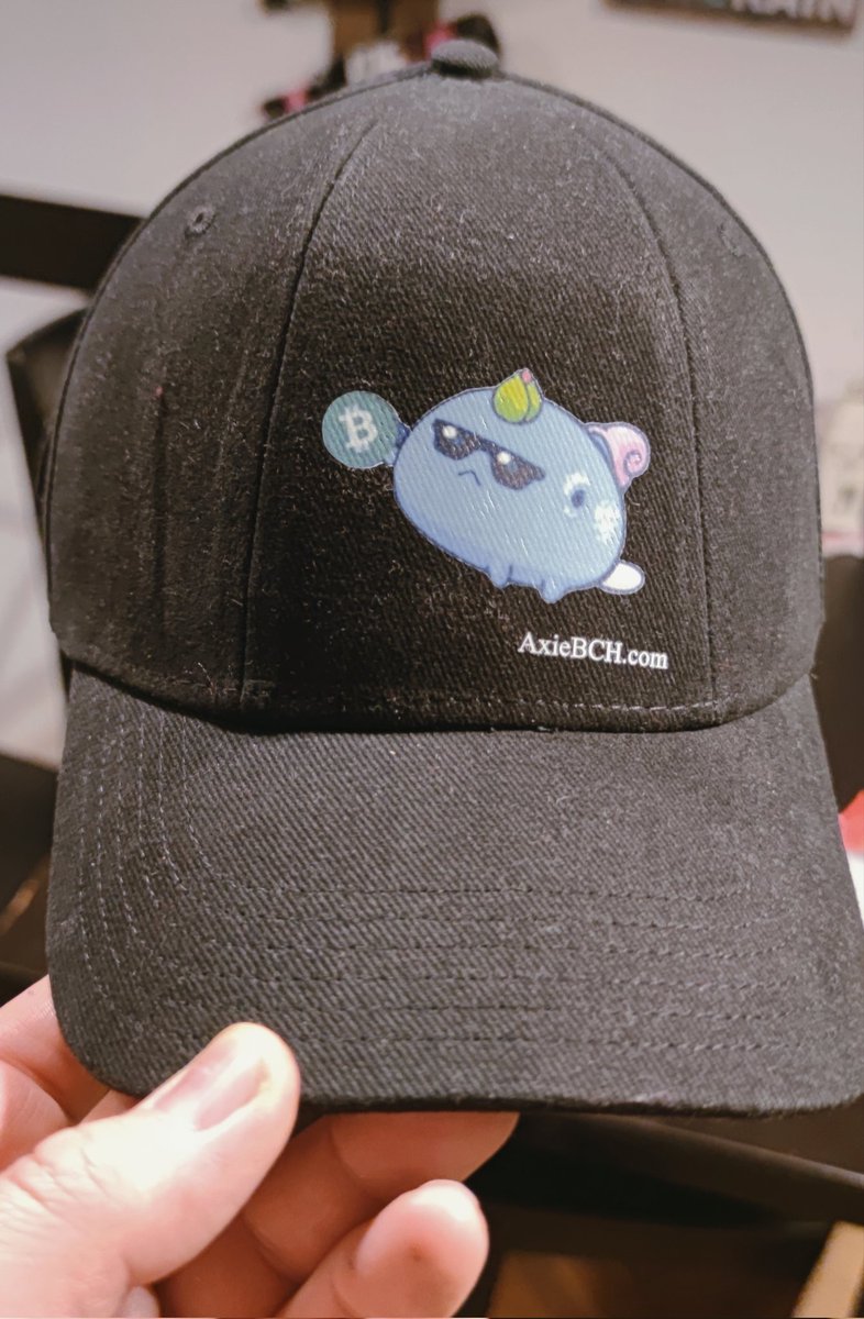 ManDogTwoCats's tweet photo. Busy day packing hoodies, caps and secret gifts for our players in Philippines.

#AxieBCH is a small guild, but we have our pride, our values and our principles.

And - our caps and hoodies too 🤣🤣🤣! https://t.co/ThYXCRjHWS