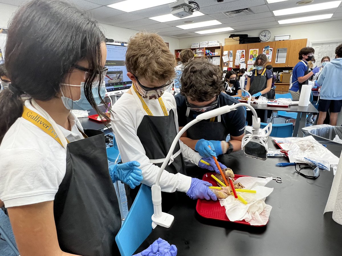 Introduction to Biology 7th Grade MYP students learn about the heart! <a href="/GulliverPrep_/">Gulliver Preparatory School</a>