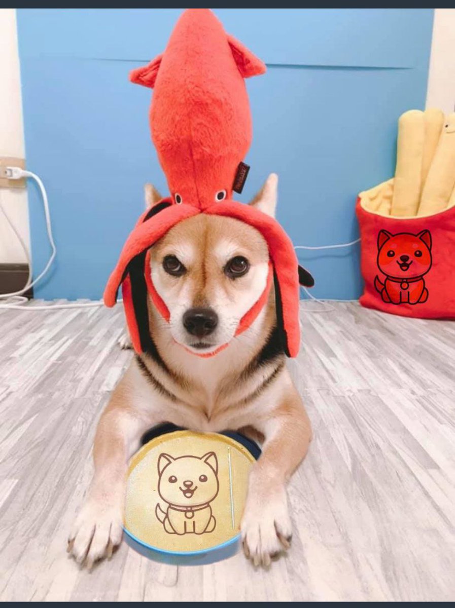 AndreusMania1's tweet photo. @BscGemSniper @InuSaitama @InuKishu @FEGtoken @babydoge #BabyDogeCoin https://t.co/Nrxut1xu6I