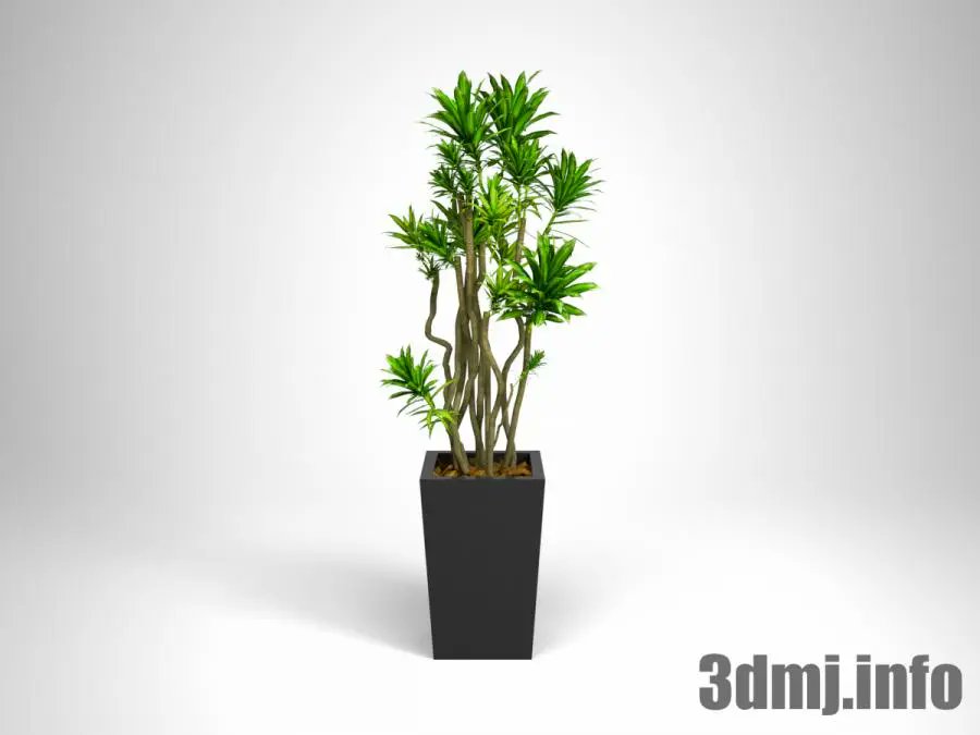 3dmodeljapan's tweet photo. 【3D観葉植物】家具データだけでなく観葉植物の3Dデータもございます!
配置するだけでおしゃれな空間に早変わり!
ダウンロードはこちらより↓
https://t.co/2MxQCnQMGA
リアルな3DCG制作の仕事をしたい方
→https://t.co/V5162APWVY
#3DMJ #観葉植物 #3D https://t.co/nRMQVOlMZM
