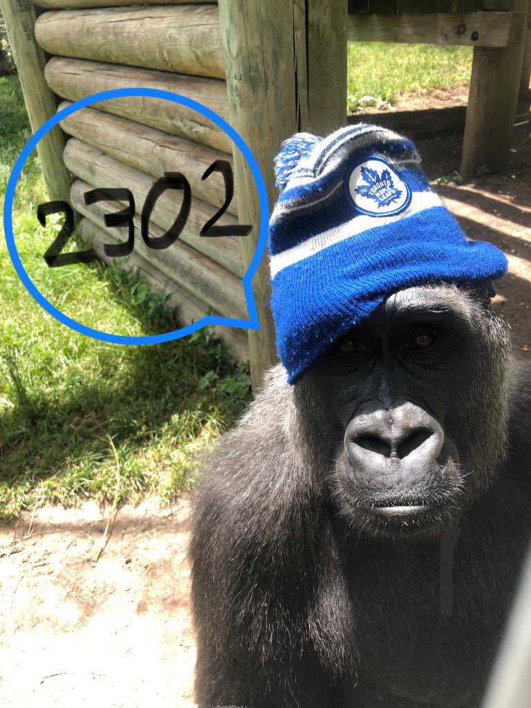 Yes! We came in #1 in the Gorillas on the Line AZA campaign. Raising 2302 cell phones for recycling. Ready to help us again? We can’t do it without you!! #cellphone #recycling #savesgorillas and their #habitats <a href="/zoos_aquariums/">AZA</a> <a href="/TheTorontoZoo/">The Toronto Zoo</a>