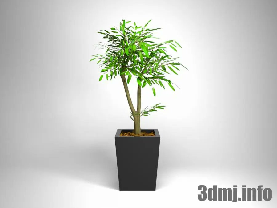 3dmodeljapan's tweet photo. 【3D観葉植物】家具データだけでなく観葉植物の3Dデータもございます!
配置するだけでおしゃれな空間に早変わり!
ダウンロードはこちらより↓
https://t.co/2MxQCnQMGA
リアルな3DCG制作の仕事をしたい方
→https://t.co/V5162APWVY
#3DMJ #観葉植物 #3D https://t.co/nRMQVOlMZM